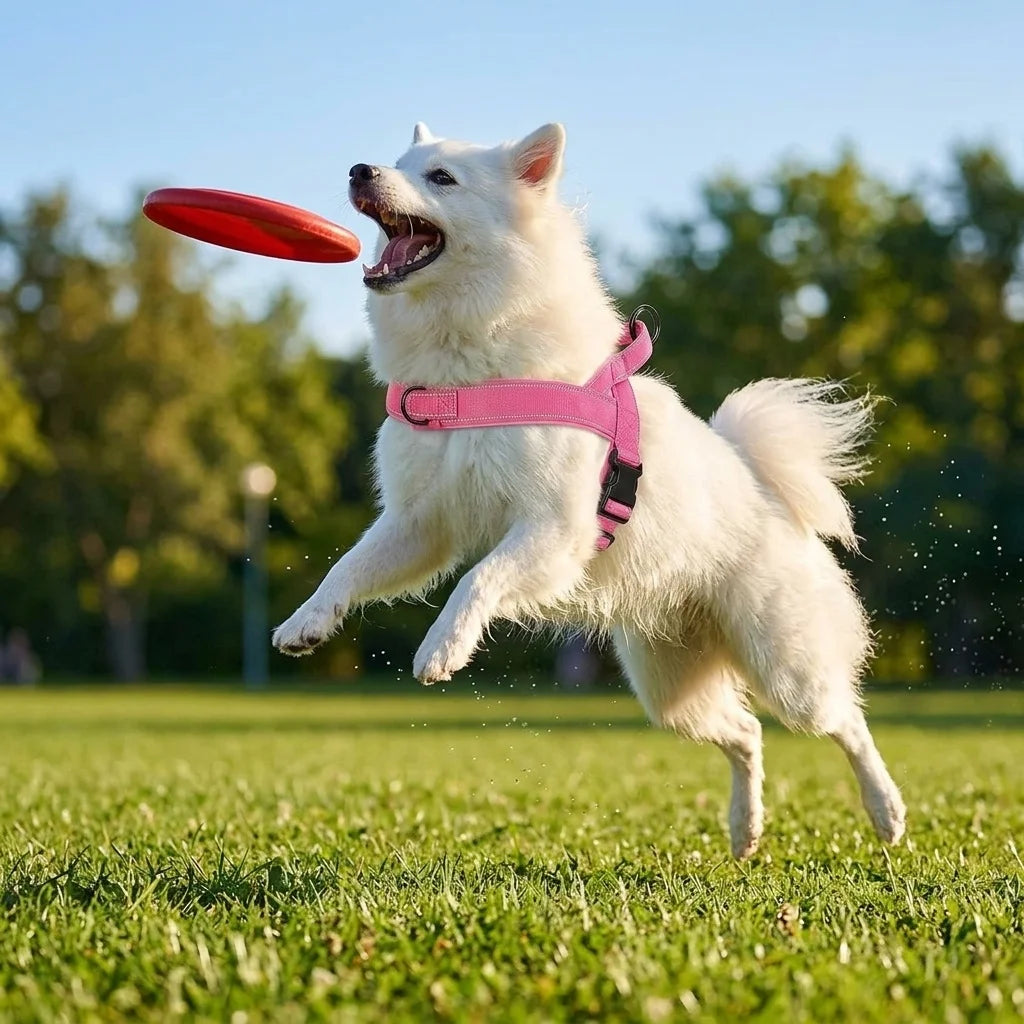 Arnes Anti-Tirones Con Control Total Y Comodidad Para Tu Mascota - KairaTix®