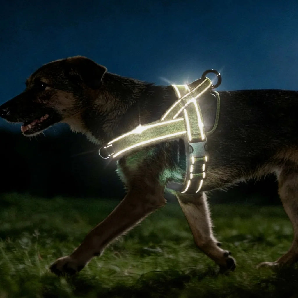 Arnes Anti-Tirones Con Control Total Y Comodidad Para Tu Mascota - KairaTix®