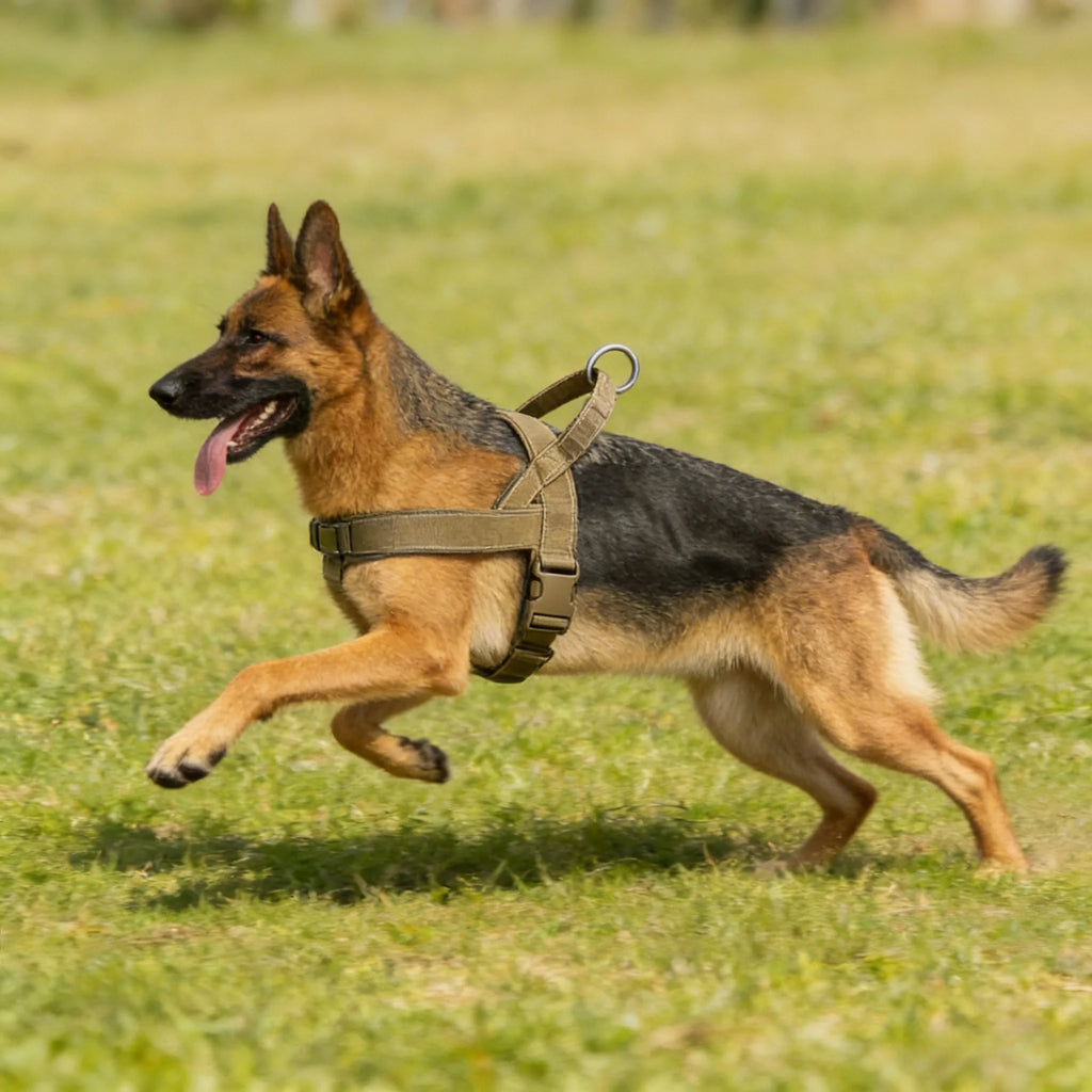 Arnes Anti-Tirones Con Control Total Y Comodidad Para Tu Mascota - KairaTix®